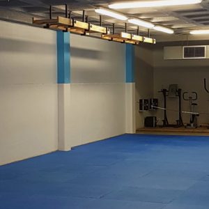 Scala orizzontale, 260x50 cm, codice 281